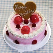 アイスクリームケーキ みんなで分ける誕生日ギフト 魁ジェラート 千葉県市川市
