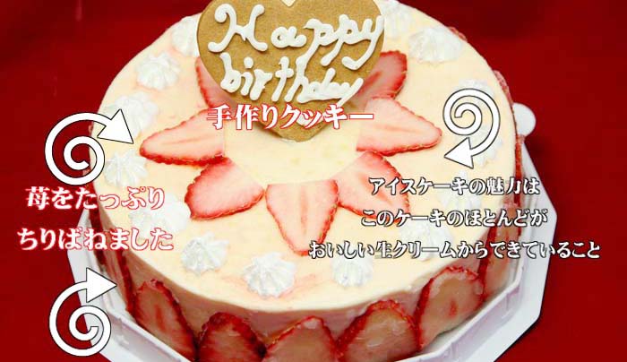 アイスクリームケーキ みんなで分ける誕生日ギフト 魁ジェラート 千葉県市川市